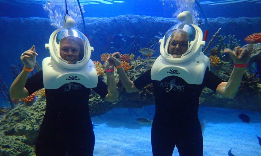 Two individuals underwater wearing black wetsuits and white diving helmets hold hands and smile at the camera. They are surrounded by colorful coral and fish. Both have raised their free hands in a gesture, expressing joy and excitement.