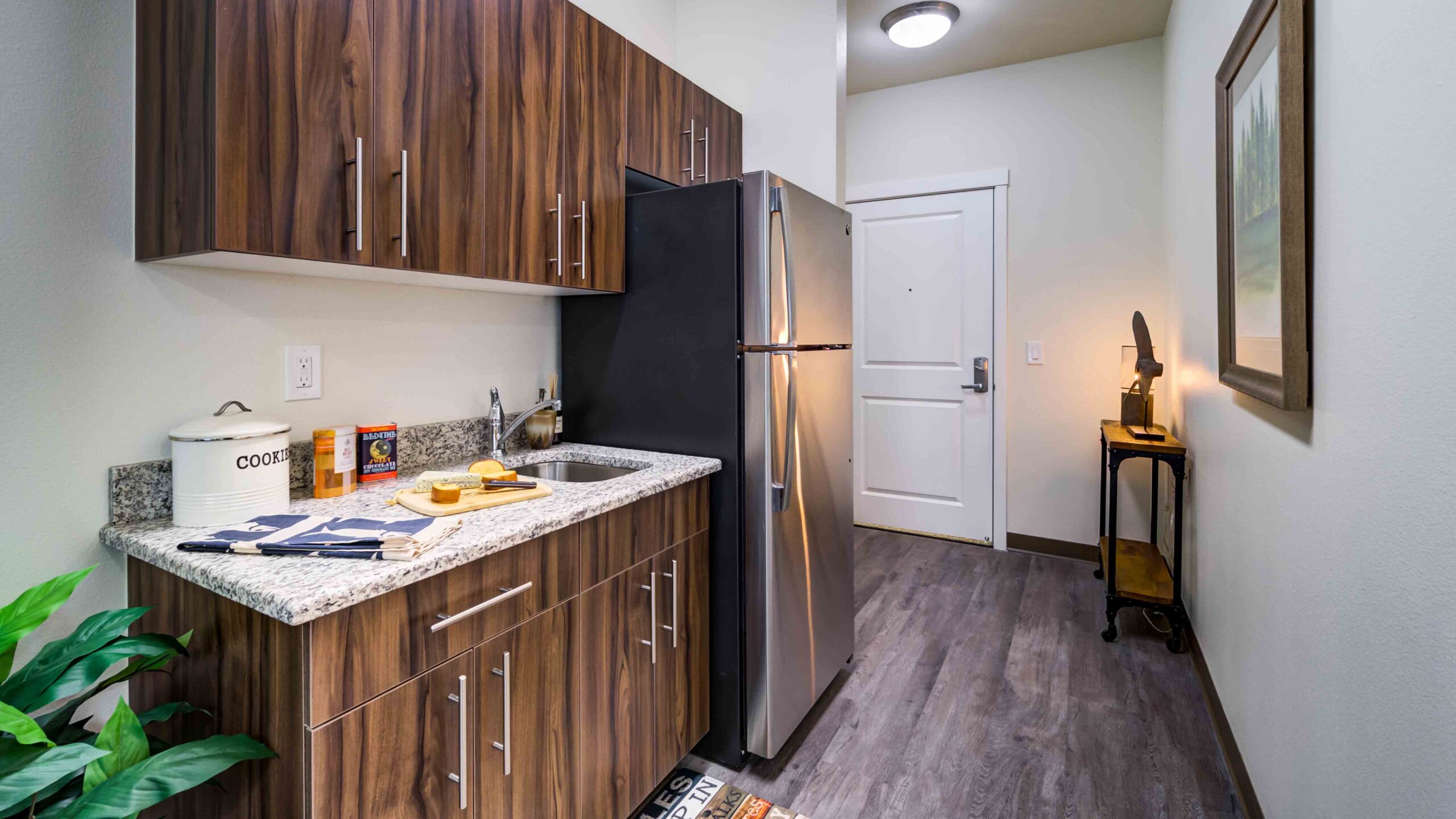 Modern kitchenette with wood cabinets, granite countertop, stainless steel fridge, sink, and small appliances. A plant and decor items are on the counter; a console table and framed art hang in the hallway near a white door.