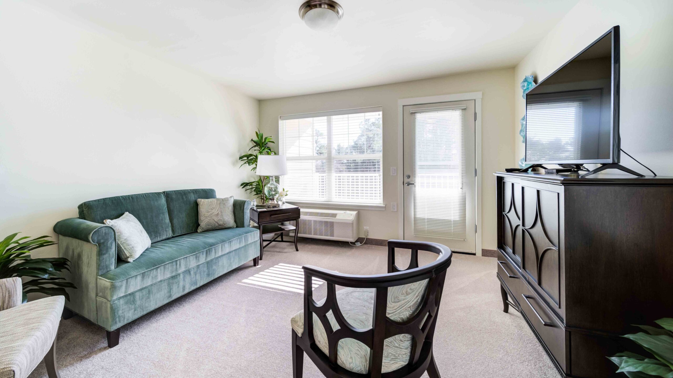 Bright living room with a green velvet sofa, patterned chair, large dresser with a flat-screen TV, potted plants, and windows letting in natural light next to a glass door.