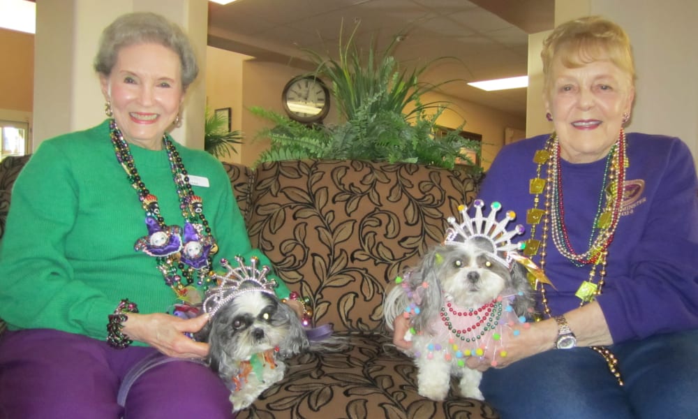 Two elderly women smiling and seated on a decorated couch, each holding a small dog dressed in festive attire. The women and the dogs wear colorful beads and tiaras, with greenery and a clock visible in the background. The scene is cheerful and celebratory.