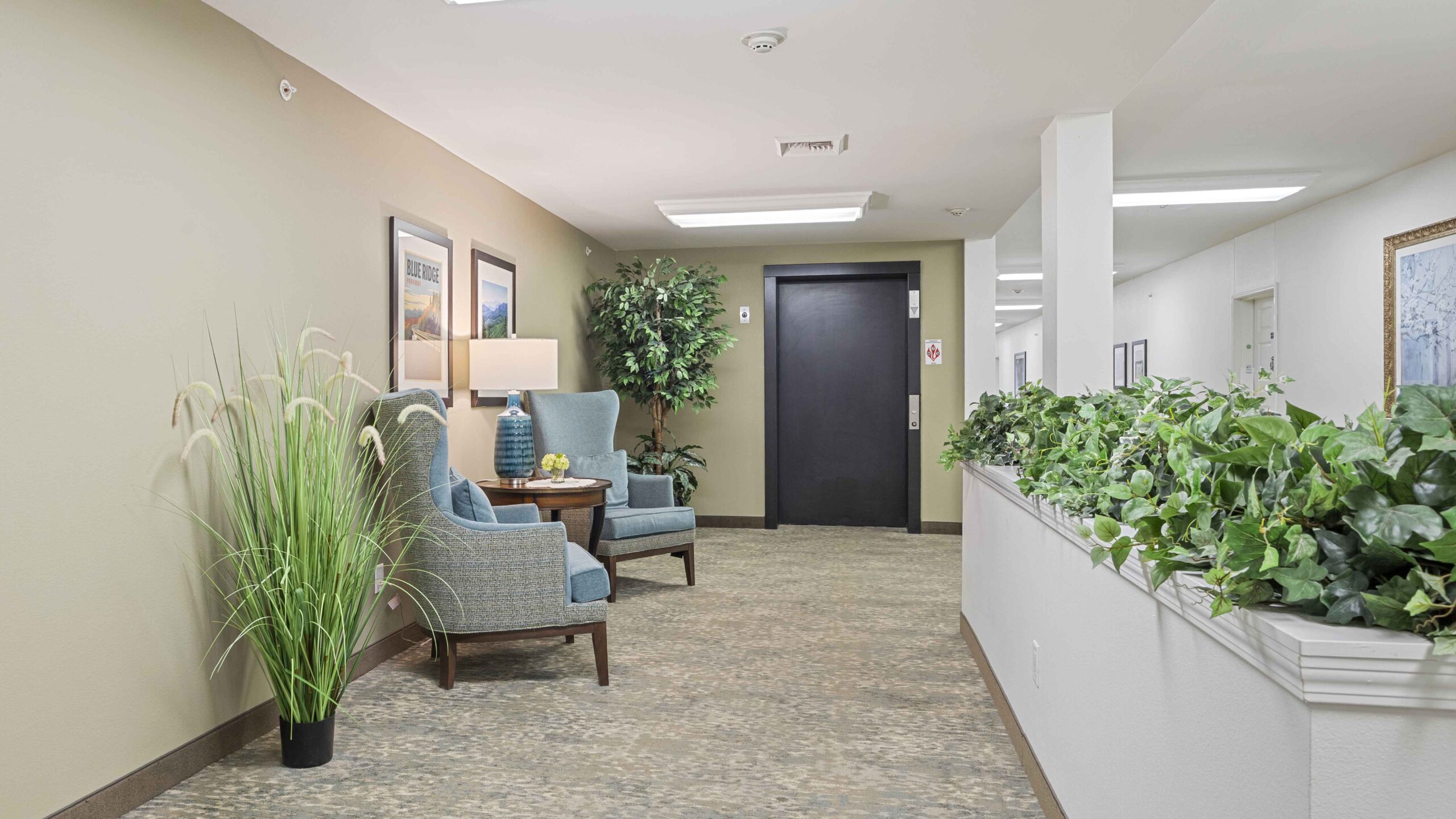A bright hallway with two blue armchairs, a small table, a lamp, potted plants, framed artwork, and an elevator door at the end. Greenery lines a white half-wall on the right.