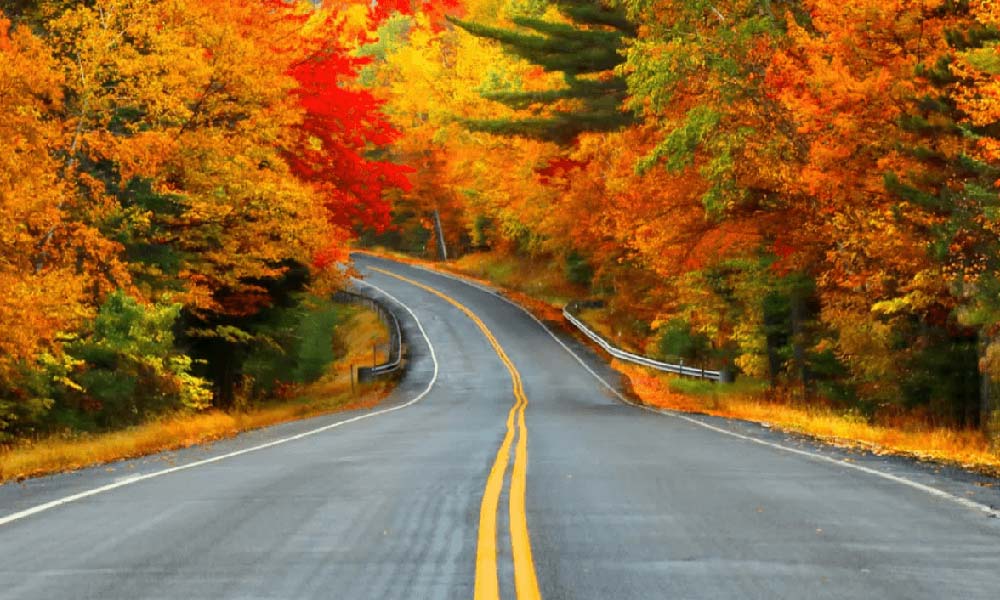 A winding road curves through a vibrant forest in autumn. The trees on either side of the road display a stunning array of fall colors, including red, orange, and yellow foliage. The sky is clear, adding to the scene's vividness.