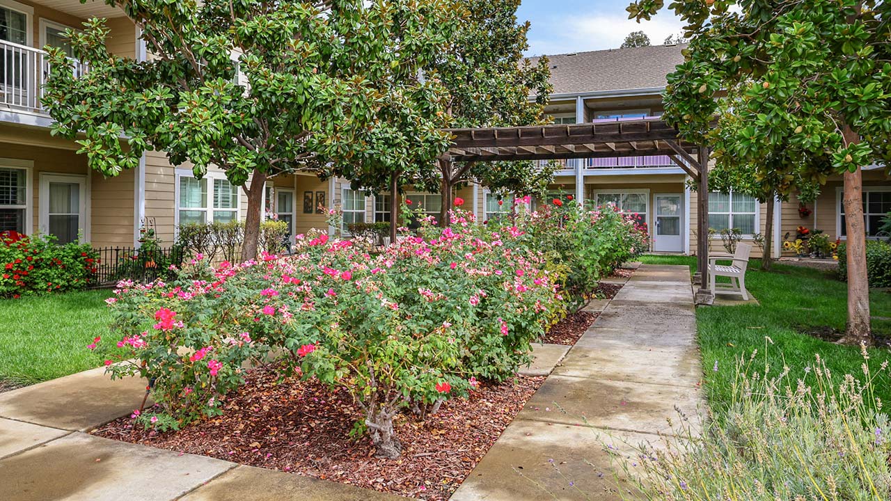 A garden walkway with blooming pink flowers and green trees, bordered by mulch, leads past a wooden pergola to an apartment building with balconies. Benches sit along the path, and the area is surrounded by grass and landscaping.