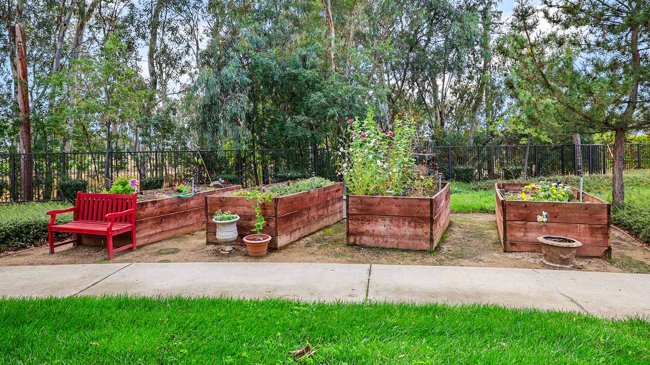 Four raised wooden garden beds with various plants and flowers are set on bare soil, bordered by grass and a sidewalk. A red bench sits on the left, and trees are visible in the background behind a black fence.
