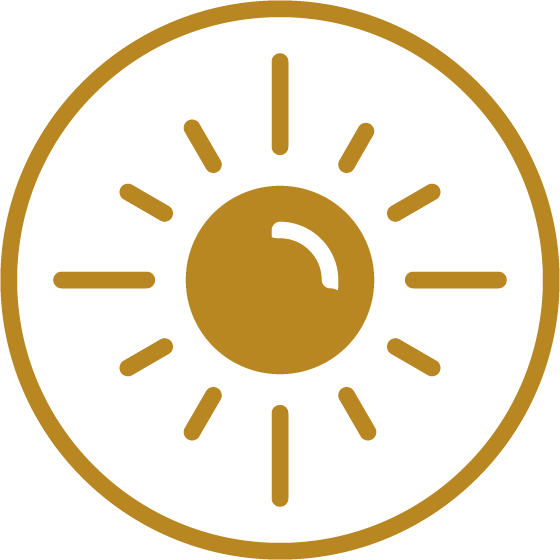 A gold sun icon with rays extending outward, symbolizing Independent Living, is enclosed within a gold circle on a white background.