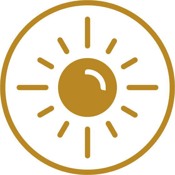 A gold sun icon with rays extending outward in all directions, enclosed within a gold circle on a white background.