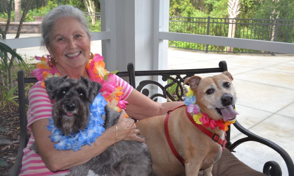 Hawthorn Senior Living. Colonial Gardens Senior Residents Playing with Dogs.