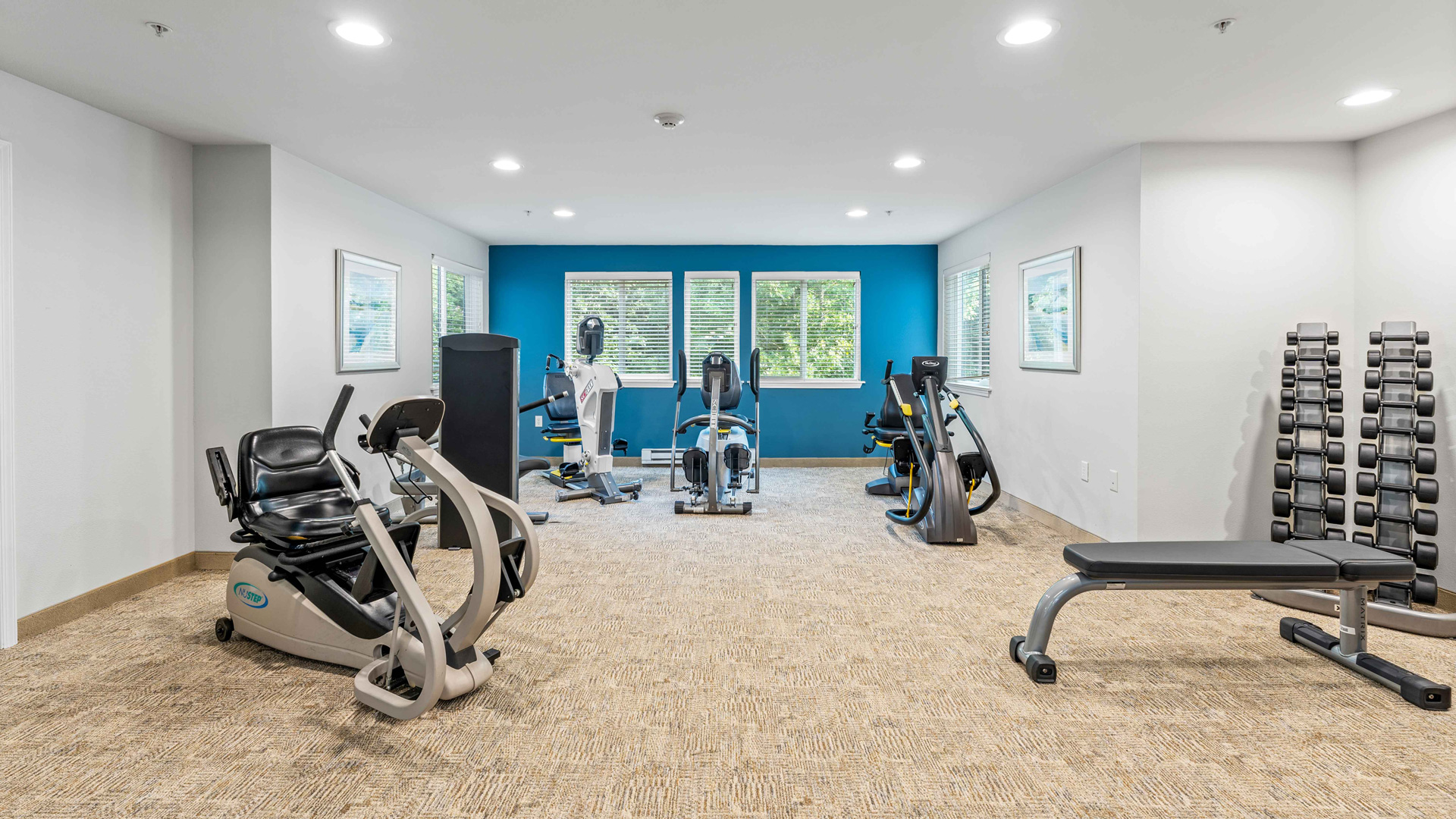 A modern fitness room with various exercise machines, a set of dumbbells on a rack, a weight bench, and large windows letting in natural light. The walls are white with one blue accent wall.