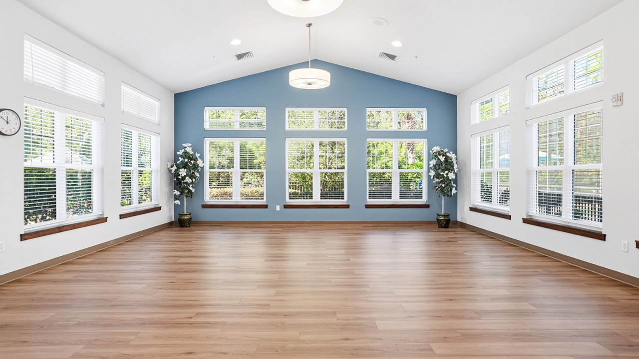 Spacious, bright room with light wood flooring, white walls, and a blue accent wall. Large windows line the walls, letting in natural light. Two potted plants and ceiling lights decorate the minimalist space.