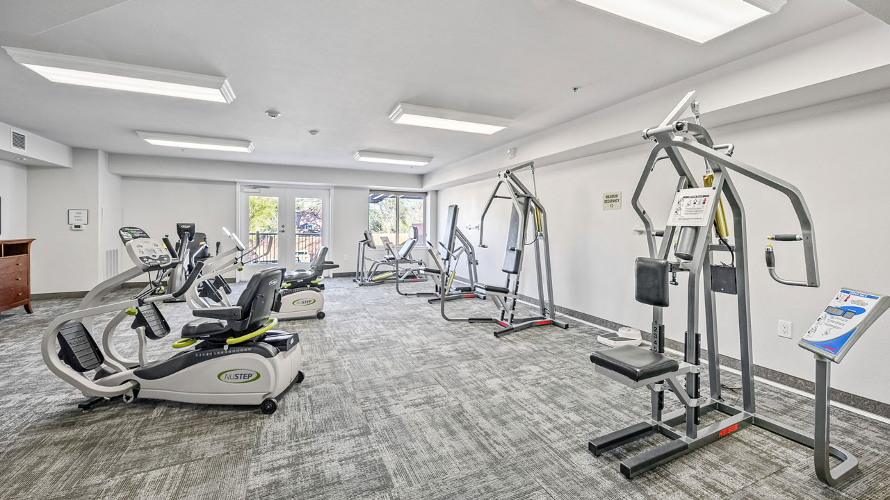 A bright, spacious gym with several exercise machines including stationary bikes, an elliptical, and a weight machine, all on a gray carpeted floor with large windows letting in natural light.