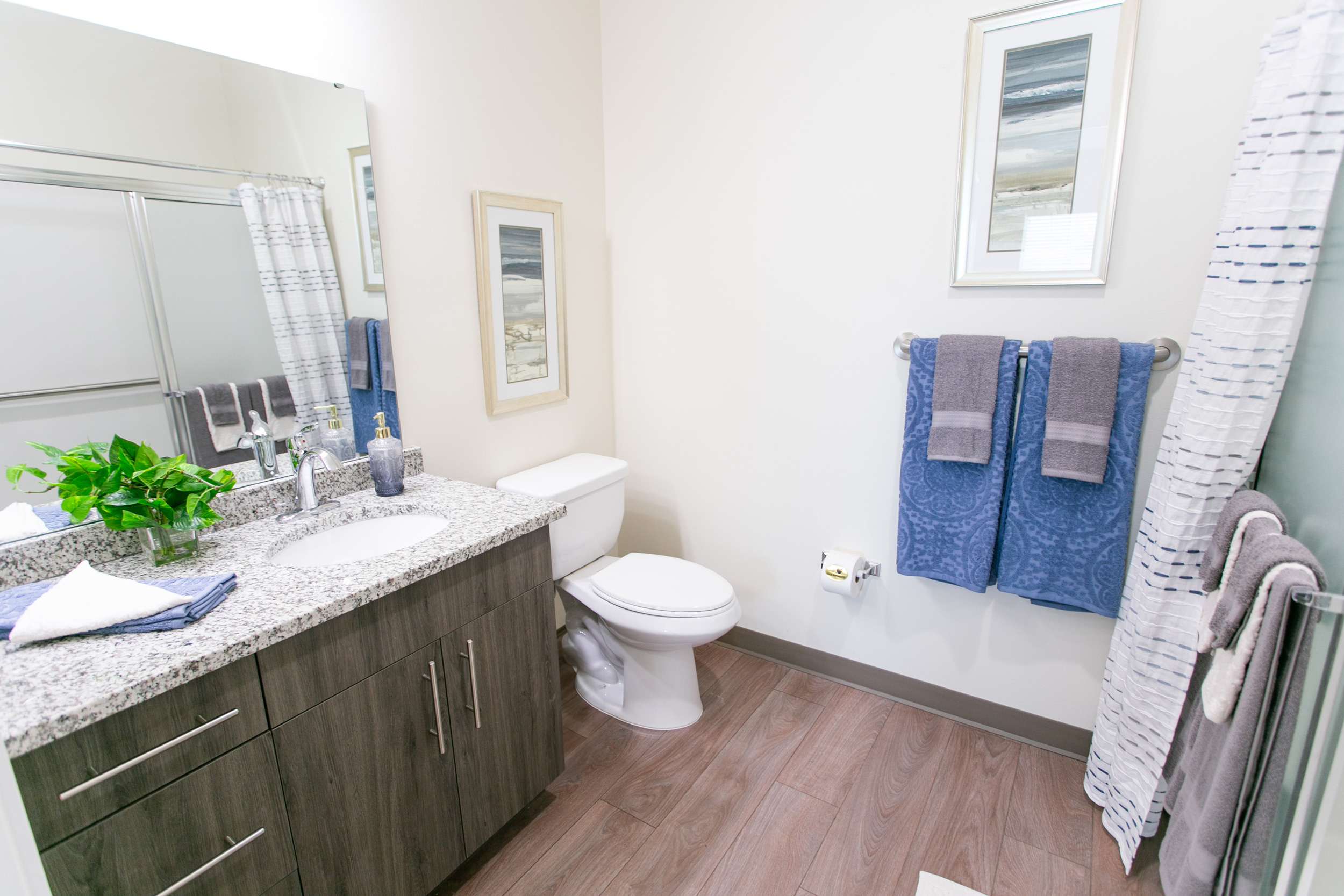 Modern bathroom with gray wood cabinets, a granite countertop, a toilet, blue and gray towels on a wall rack, framed art, a large mirror, and a green plant by the sink. Light wood flooring and white walls.
