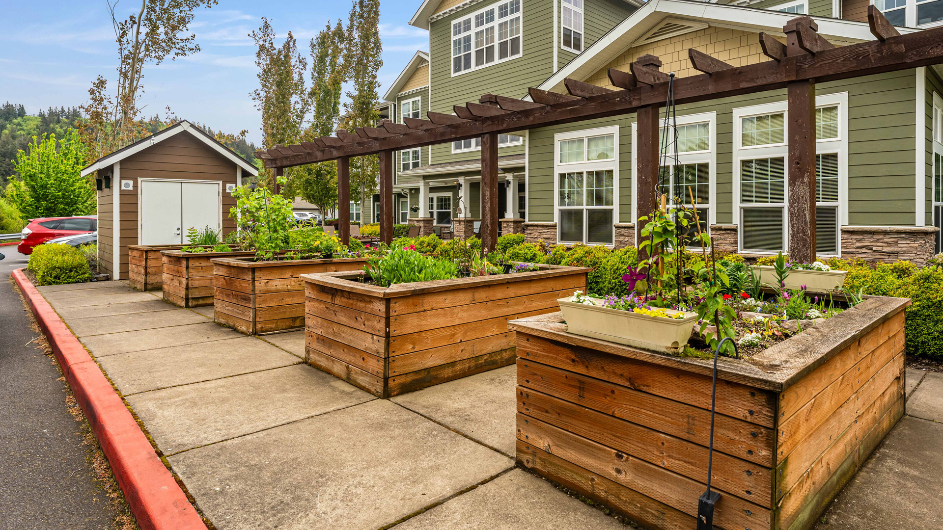 Raised wooden garden beds with various plants and flowers on a paved walkway beside a residential building, with a small shed and parked cars visible in the background.