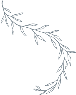 Curved, simple gray leafy branch illustration with thin lines and small leaves, forming an arch shape on a transparent background.