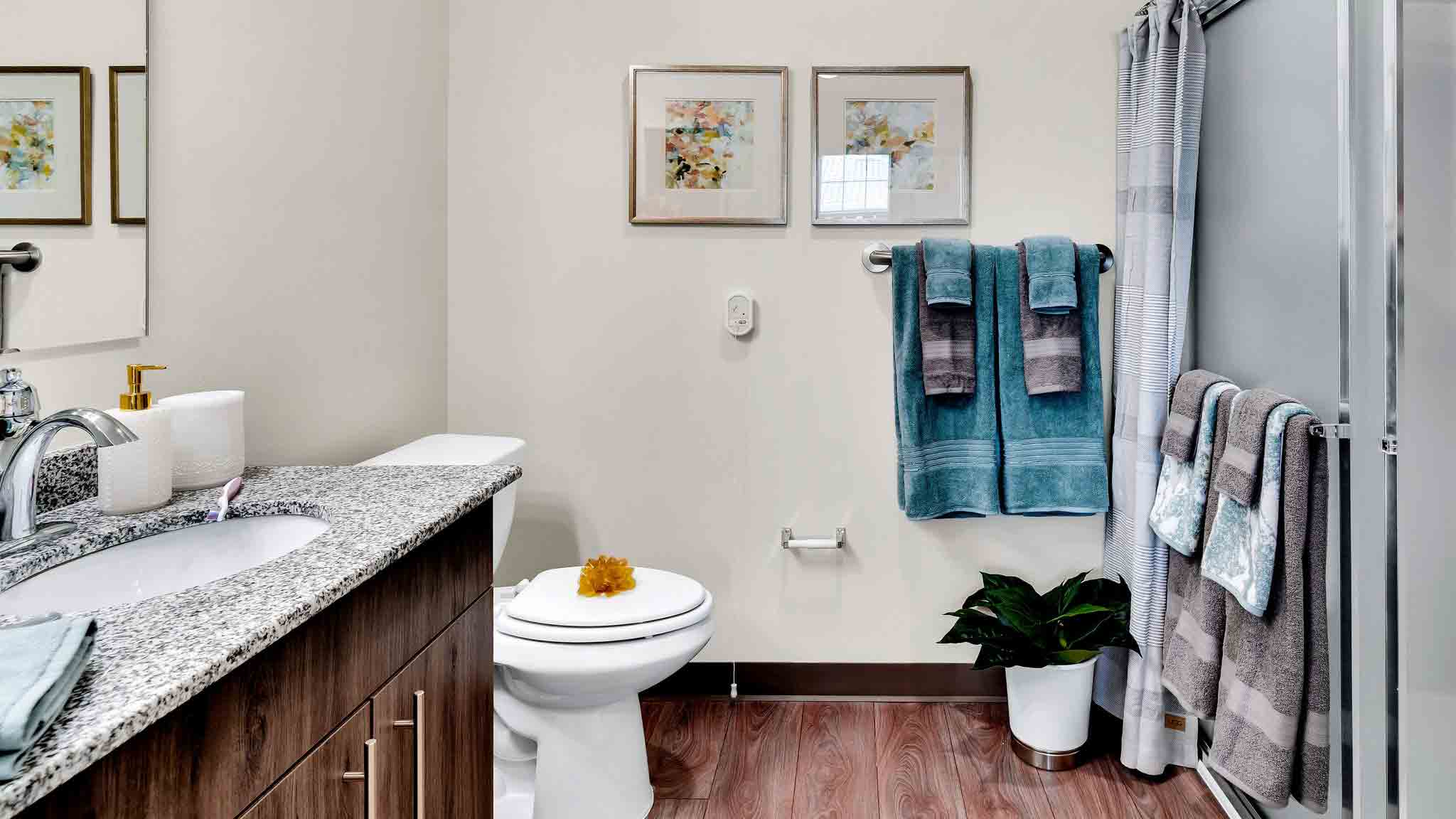 Modern bathroom with a granite countertop, wooden cabinets, a toilet, and a glass shower. Blue and gray towels hang on racks. Two framed artworks are on the wall above the toilet, and there’s a potted plant on the floor.