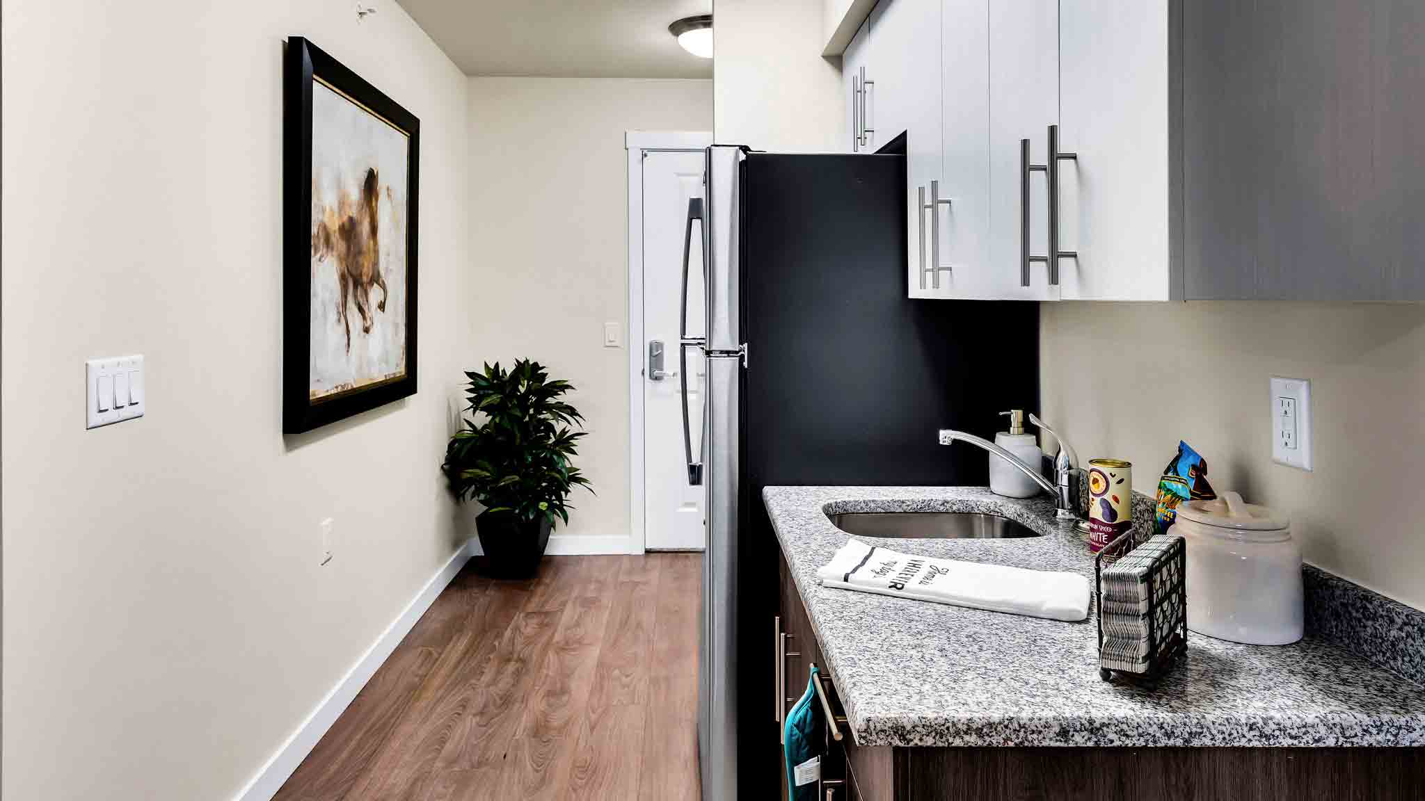 Modern apartment kitchen with granite countertops, stainless steel refrigerator, white cabinets, and a sink. A hallway with wood flooring, a plant, and a framed horse painting is visible to the left.