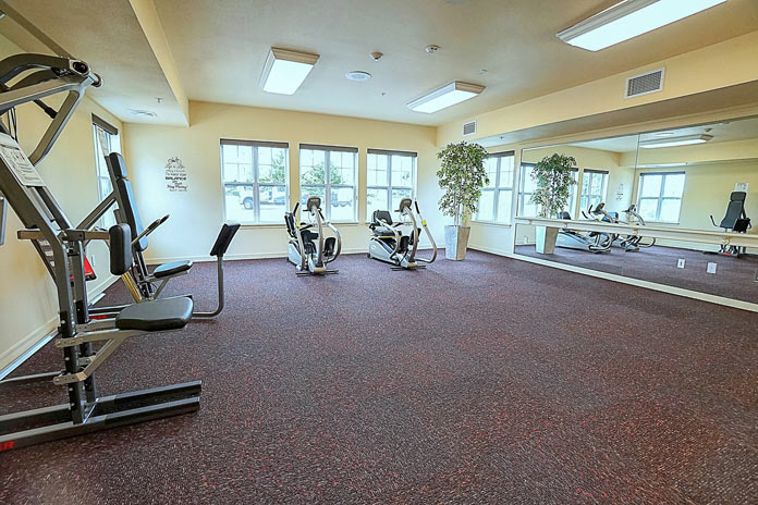 A well-lit gym with large windows, featuring exercise machines including two stationary bikes, a leg press, a squat rack, and a seated leg extension machine. A large mirror covers one wall and a tall potted plant is in the corner. The floor is covered with dark carpet.