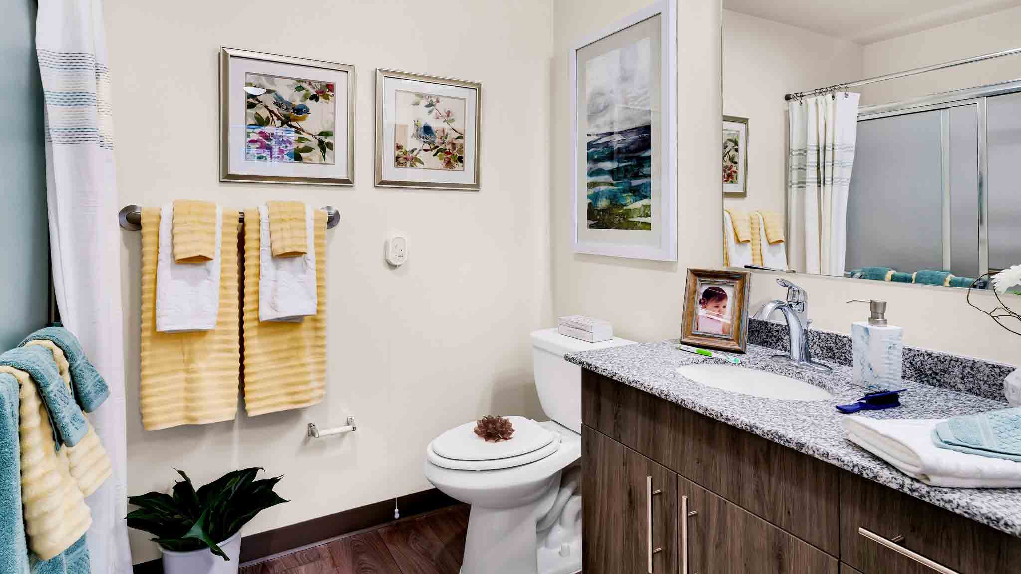A bathroom with a granite countertop, sink, and wooden cabinet. Above the toilet are three framed art prints and a towel rack with yellow towels. A plant sits on the floor, and a shower with a glass door is in the background.