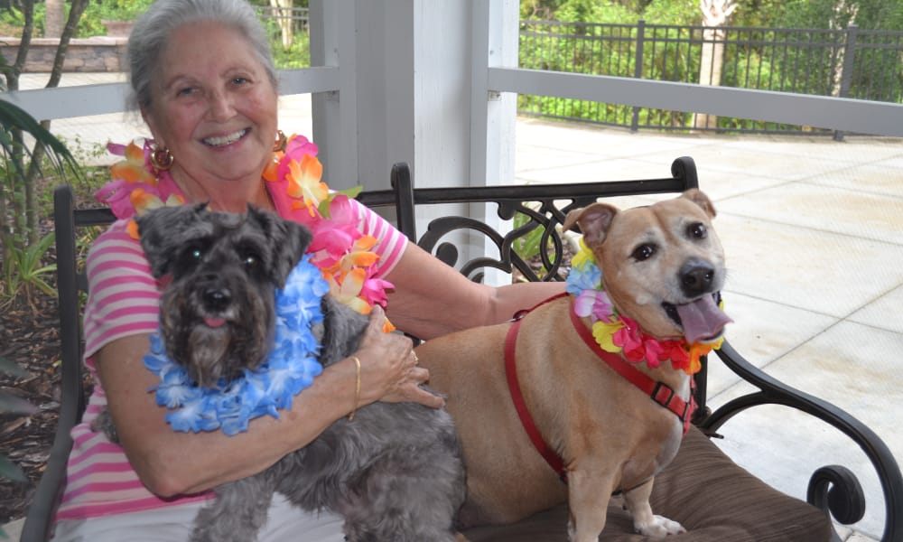 An older woman with grey hair, wearing a pink-striped shirt and a colorful lei, smiles while sitting on a bench. She is holding a small gray dog with a blue lei, and a larger brown dog with a red harness and a red lei sits beside her.