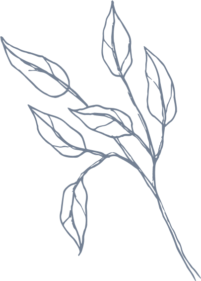 A simple, hand-drawn outline of a leafy branch with several elongated leaves, depicted in thin, soft gray lines on a plain light background.