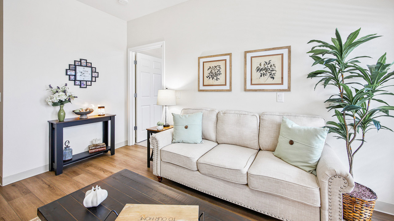 A cozy living room with a beige sofa, decorative pillows, a side table with a lamp, wall art, a black console table with flowers and decor, wooden floors, and a tall leafy plant in the corner.