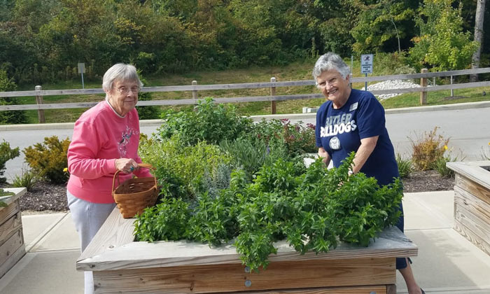 Two elderly women are tending to a raised wooden garden bed filled with lush green plants. One woman in a pink sweater holds a wicker basket, while the other in a navy "Butler Bulldogs" shirt smiles. They are outside in a garden area with a wooden fence and trees in the background.