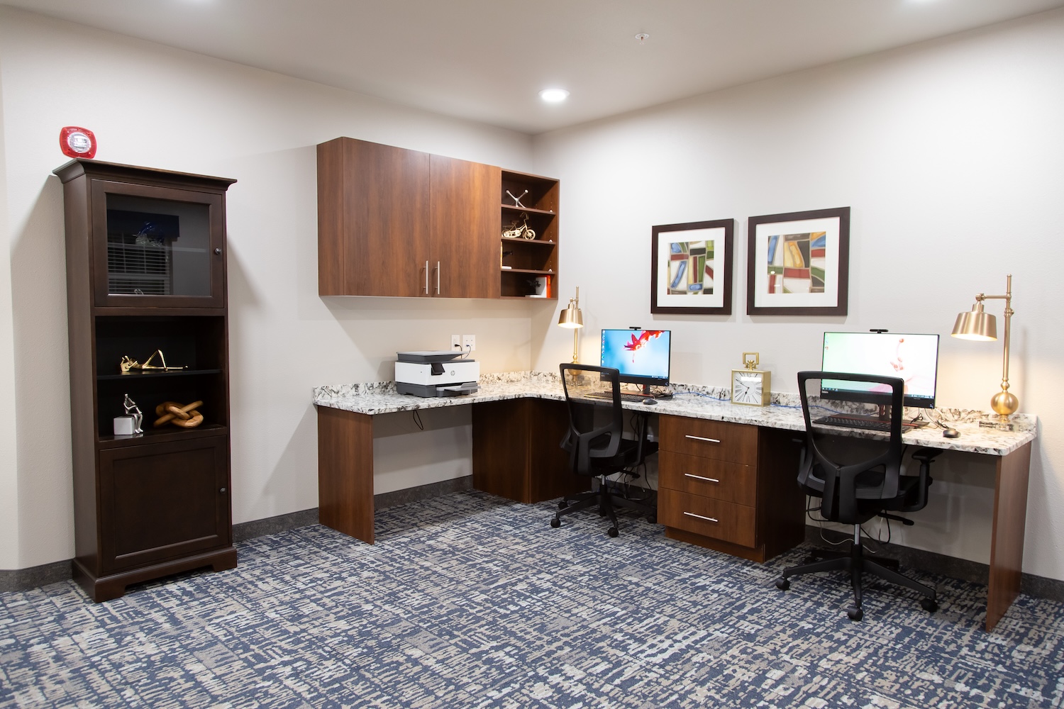 Modern office space with two chairs at a shared desk featuring dual monitors and decorative lamps. A printer sits on the counter. Shelves and wall art adorn the space, with a patterned carpet on the floor.