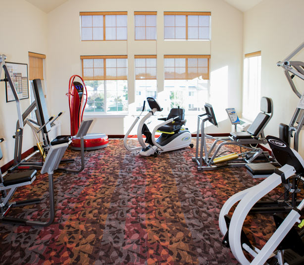 A well-lit gym with various exercise equipment, including a vibration plate, rowing machine, elliptical, and weight machines. The gym has large windows with natural light streaming in and patterned carpet flooring.