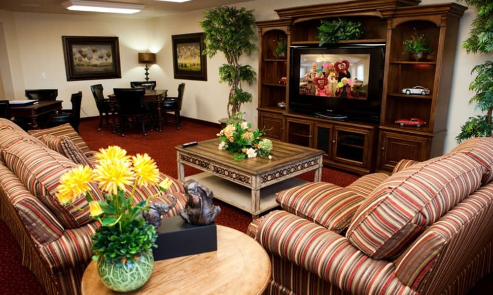 A cozy living room featuring striped sofas with colorful yellow flowers on a wooden coffee table. A TV on a wooden stand plays a show, with surrounding greenery and decorative items. In the background, a dining area with a dark wooden table and chairs is visible.