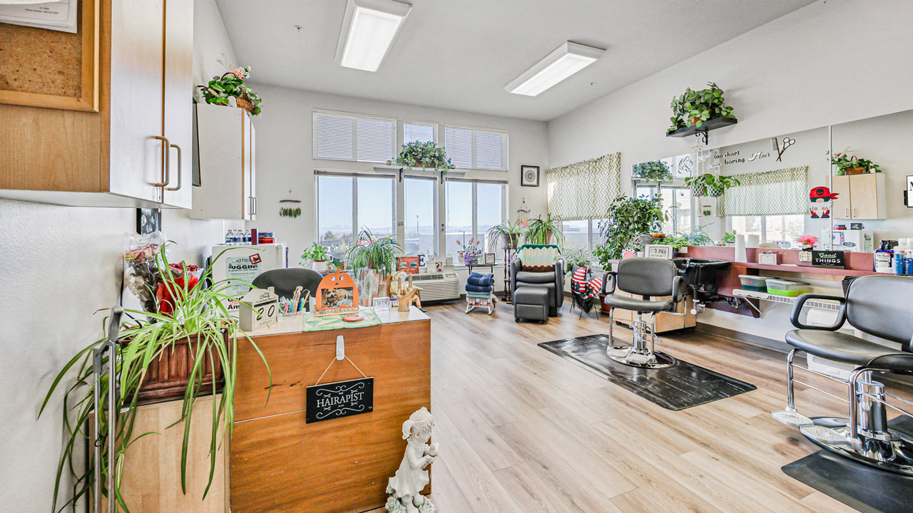 A bright, tidy hair salon with wooden floors, several styling chairs, mirrors, potted plants, and large windows letting in natural light. Various hair products and decorations are placed on counters and shelves.