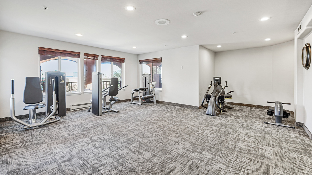 A modern gym with carpeted floors, large windows, and various exercise machines, including weight machines and stationary bikes, arranged along two walls in a bright, spacious room.
