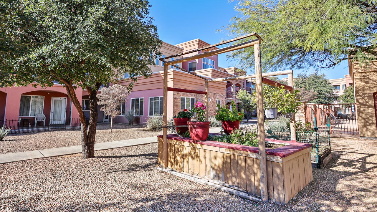 A raised wooden garden bed with potted plants sits in a gravel courtyard, surrounded by trees, shrubs, and a peach-colored apartment building in the background under a clear blue sky.