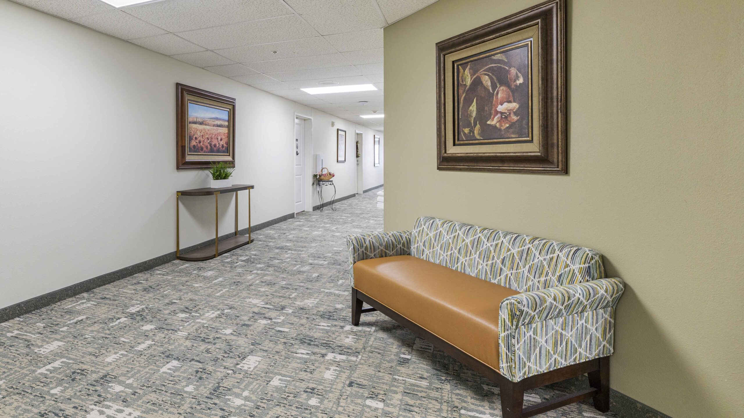 A hallway with patterned carpet, a brown and patterned bench, framed artwork on the walls, a small table with a potted plant, and several closed white doors along the corridor.