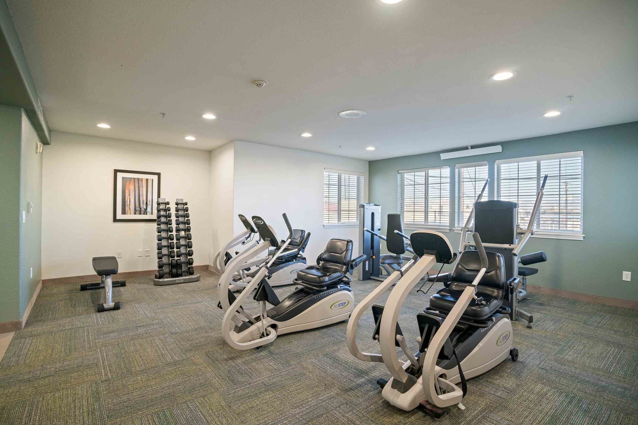 A well-lit gym with various exercise equipment, including elliptical machines, a seated rowing machine, dumbbells neatly arranged on a rack, and a seated bench. The room has large windows with blinds, green carpet flooring, and a framed picture on the wall.