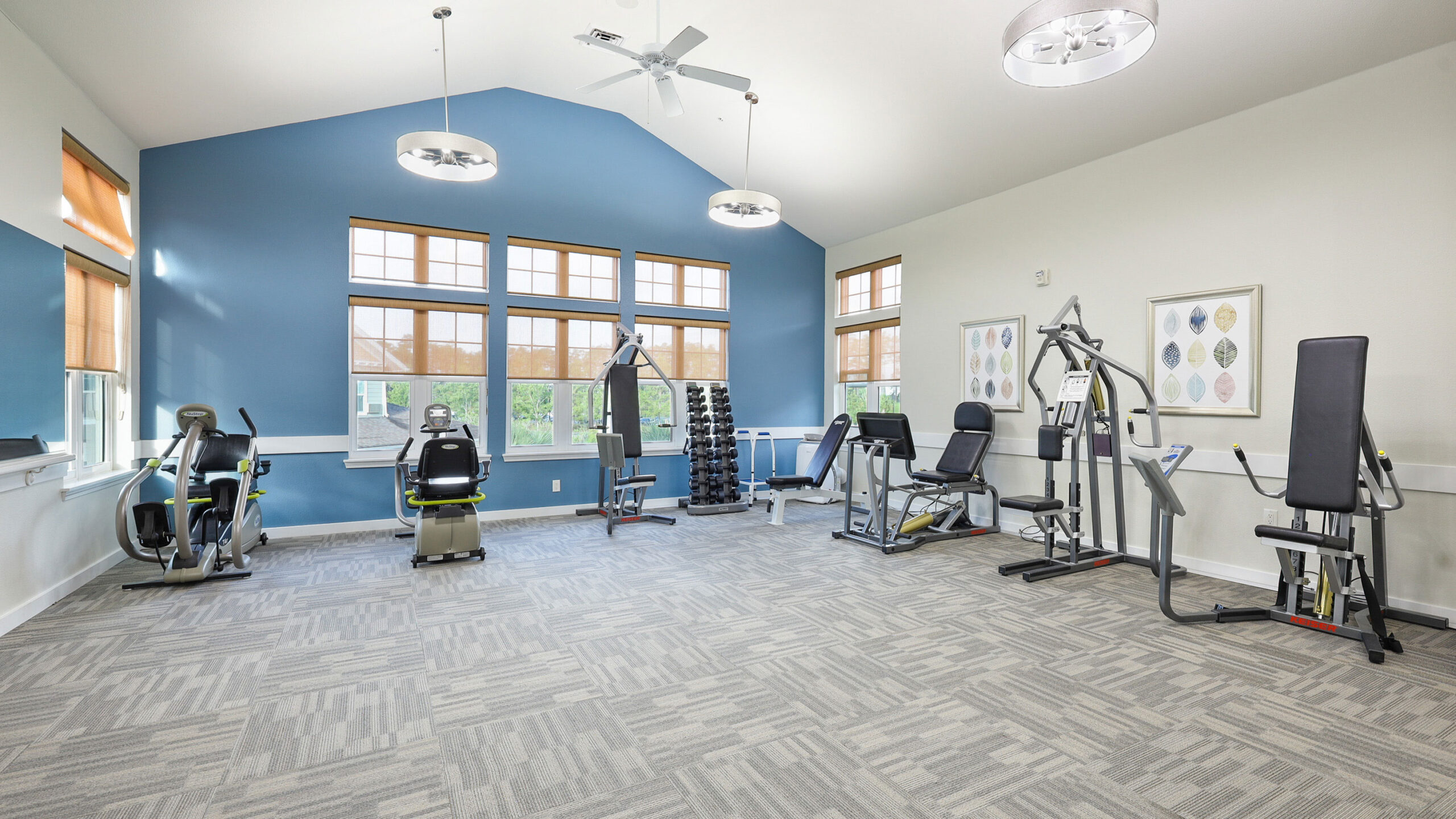 A bright, modern gym room with large windows, blue accent wall, dumbbells on a rack, and various exercise machines on a grey carpeted floor. Framed artwork hangs on a white wall.