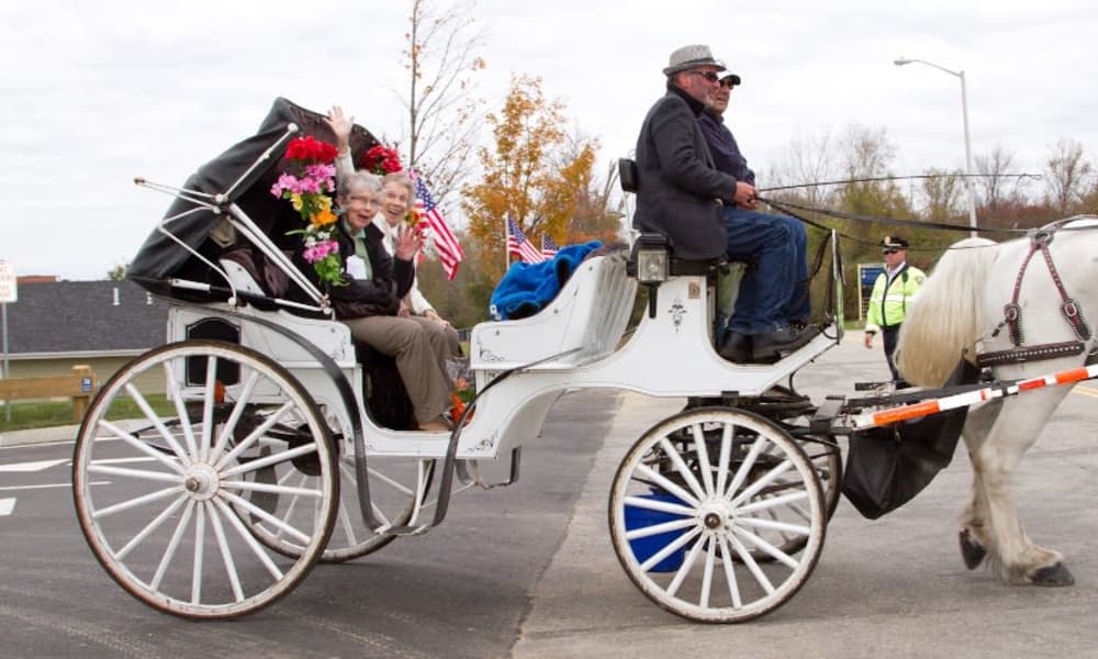 A white horse-drawn carriage adorned with colorful flowers carries an elderly couple sitting in the passenger seat. A driver, dressed in a dark coat and hat, steers the carriage. The background shows a calm suburban street with trees and a street sign.