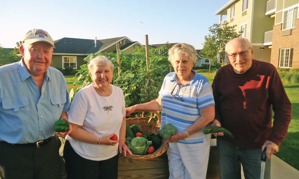 Four elderly individuals are standing outdoors by a raised garden bed, holding freshly picked vegetables. Behind them are residential buildings. They appear to be smiling and enjoying the harvest on a sunny day. The garden is lush and filled with various plants.