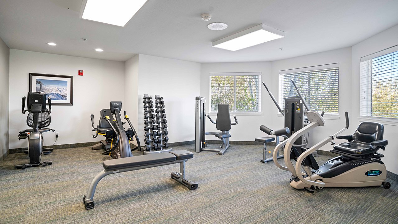 A bright, modern gym with exercise machines, free weights, a bench, and large windows letting in natural light. There is a mountain picture on the wall and the space is clean and organized.