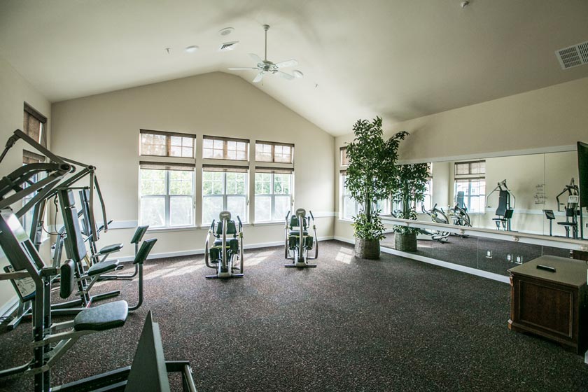 A spacious, well-lit fitness room with large windows, various exercise machines, a large mirror on one wall, and a tall potted plant. The room has a vaulted ceiling with a ceiling fan and neutral-colored walls.