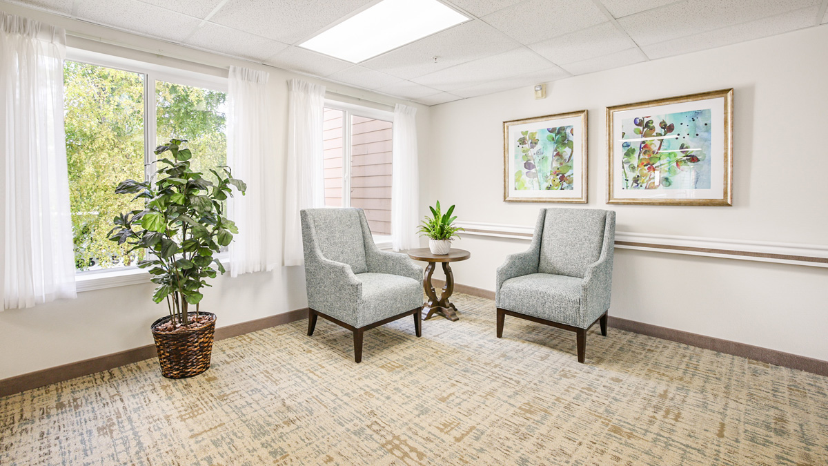 A bright sitting area with two light gray armchairs, a small round table with a potted plant, a large potted plant by the window, and two abstract paintings on a white wall. Natural light floods the space.