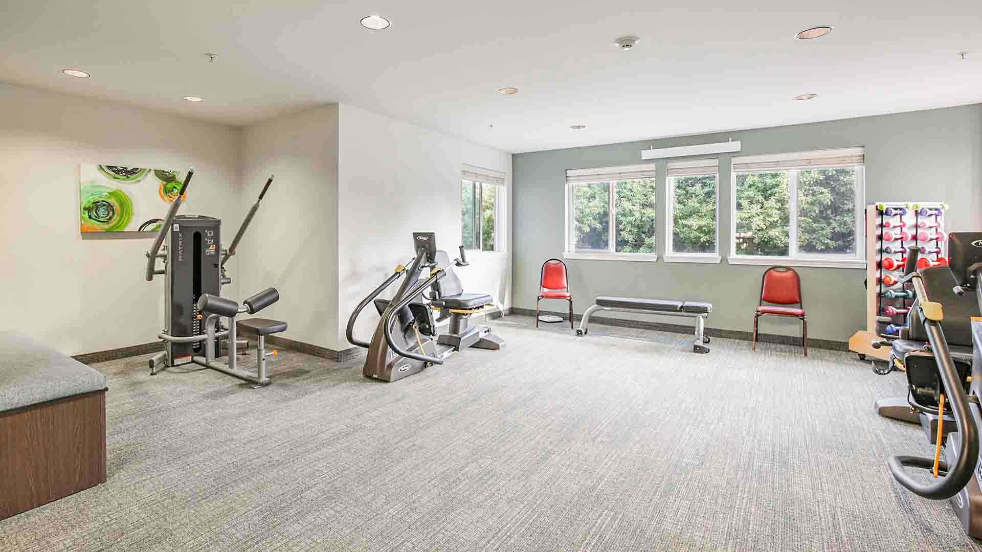 A bright gym room with large windows, exercise machines, a bench, red chairs, and a rack of colorful dumbbells arranged along the right wall.
