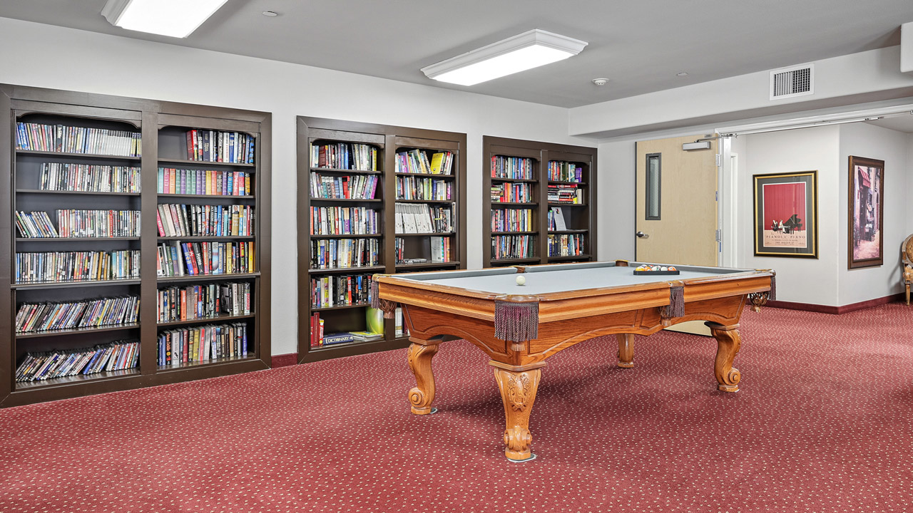 A game room with a pool table on red carpet, surrounded by bookshelves filled with DVDs or books, and a framed picture on the wall. Bright ceiling lights illuminate the space.