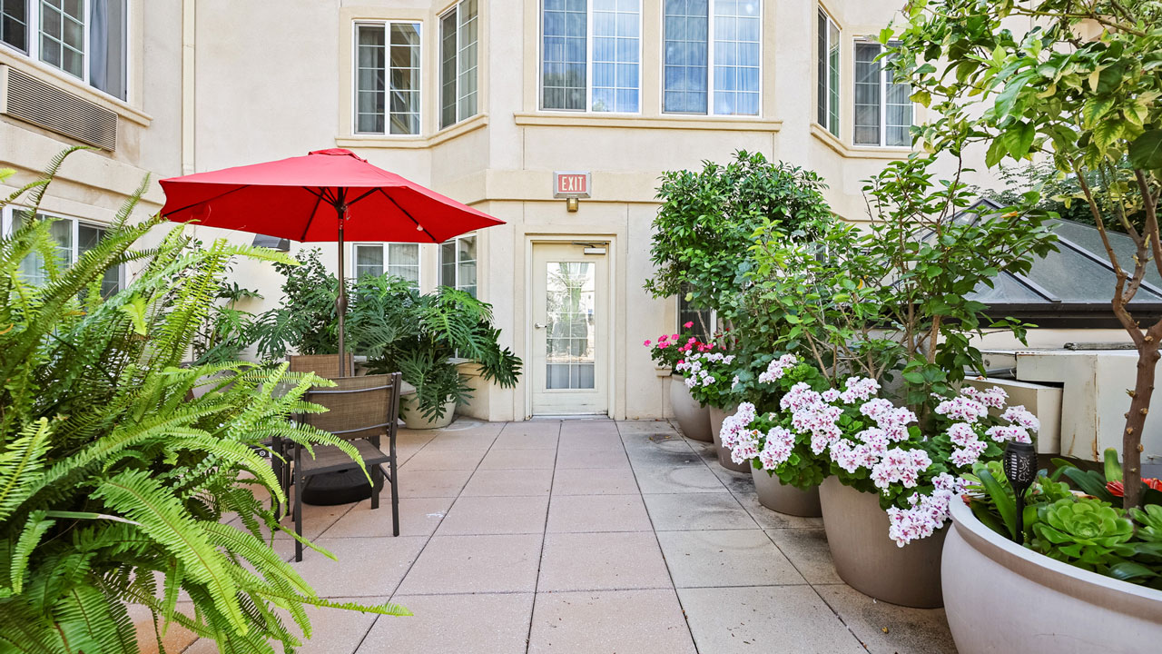 A sunny courtyard with large potted plants and flowers, a seating area with a red umbrella, and beige walls with tall windows in the background.