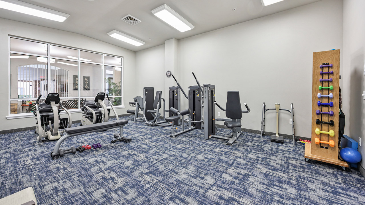 A small gym with exercise machines, a rack of colorful dumbbells, balance balls, and a blue patterned carpet. Large windows let in natural light from an adjacent room.
