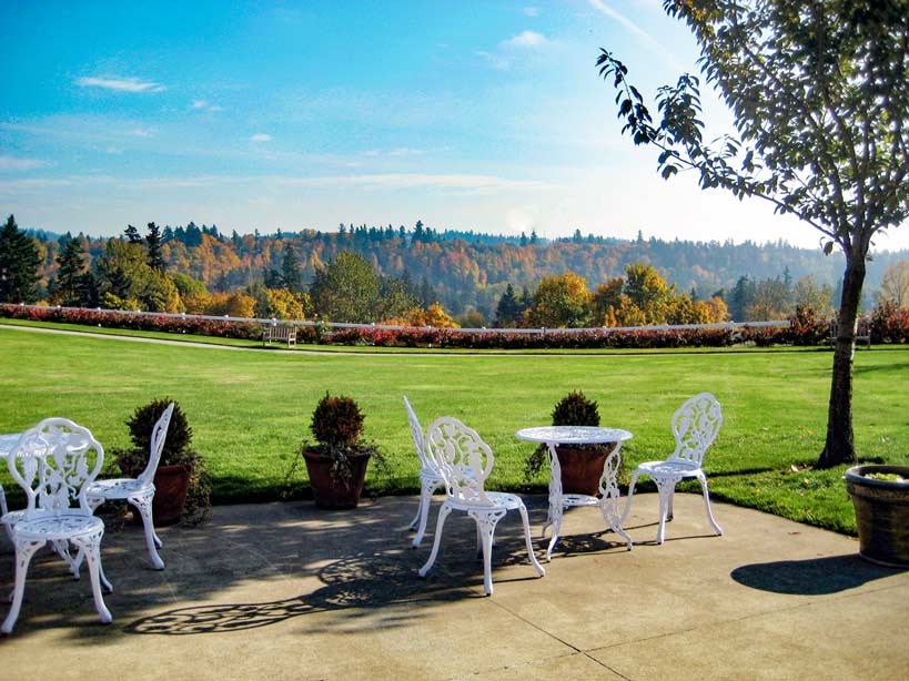 A picturesque outdoor setting features white wrought-iron furniture, including a table and chairs, on a sunlit patio. Beyond, a lush green lawn stretches toward a backdrop of colorful autumn trees under a blue sky. Potted plants line the edge of the patio.