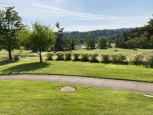 A sunny day at a golf course featuring a lush green landscape with a paved pathway in the foreground, a manicured lawn, small shrubs, and a few scattered trees. The background shows distant trees and a clear blue sky with thin, wispy clouds.