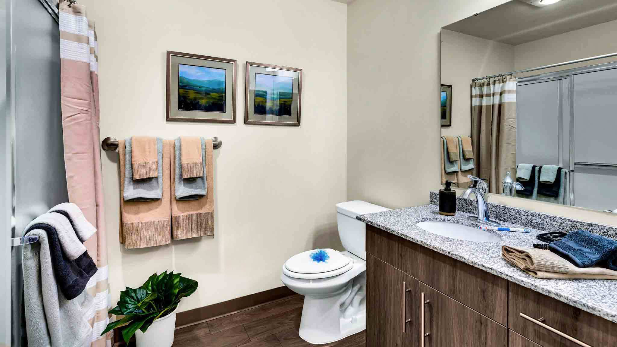 Modern bathroom with a granite countertop, wooden cabinets, a white toilet, towel racks with neatly folded towels, a potted plant, wall art, and a large mirror above the sink.