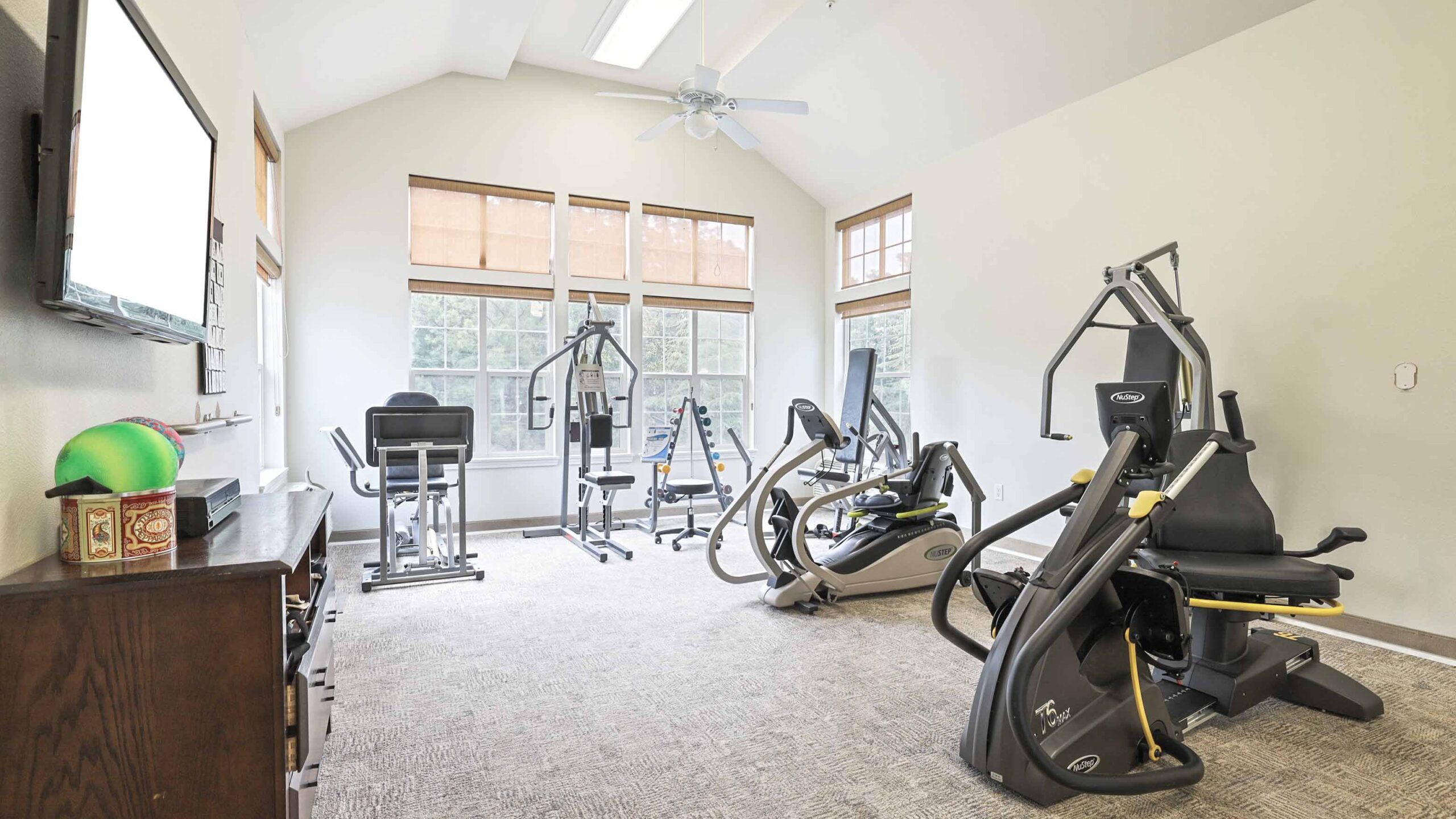 A small, bright home gym with cardio and strength machines, free weights, a wall-mounted TV, and large windows letting in natural light. The room has beige walls and carpeted floors.