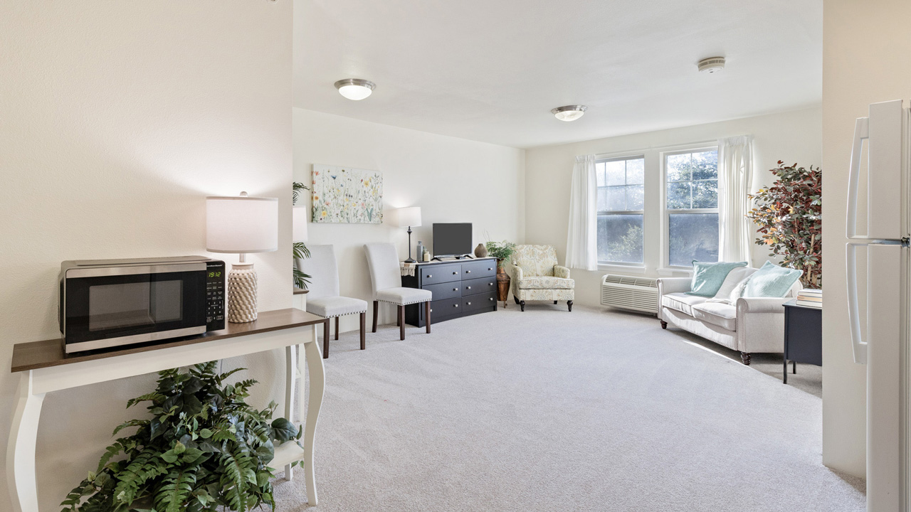 Bright living room with light-colored walls, a sofa, armchair, TV on a dresser, and a small table with a microwave. Large windows let in natural light; plants and soft decor create a cozy atmosphere.
