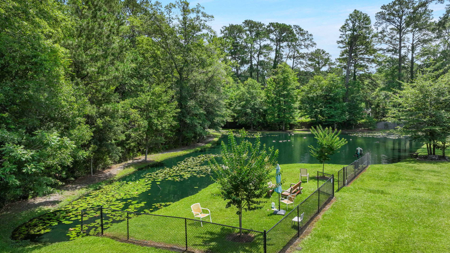 A fenced grassy area with chairs overlooks a serene pond surrounded by trees. Lily pads float on the water, and the scene is sunny and peaceful, with vibrant green foliage all around.