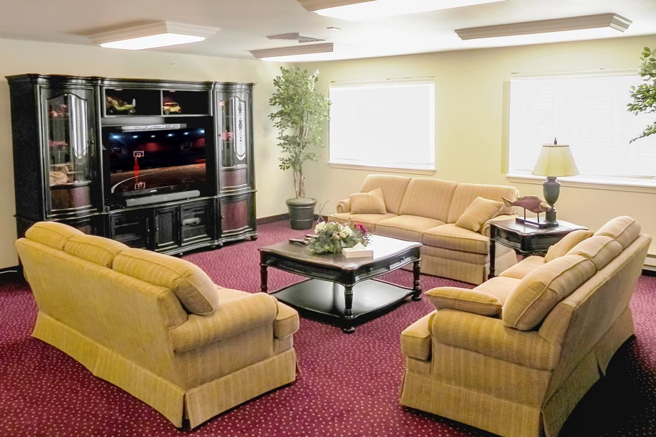 A living room with red carpet, beige sofas, a black wooden coffee table with a flower arrangement, and a black entertainment center with a flat-screen TV. The room has two large windows and potted plants in the corners, creating a cozy atmosphere.